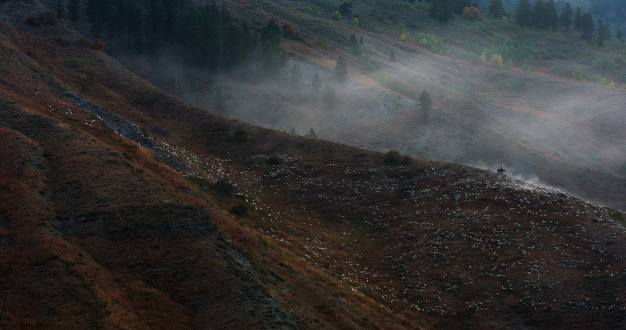 landscape of a foggy mountain.